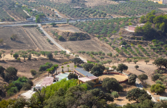 Venta - Casas o chalets - Monda - Finca Buenavista