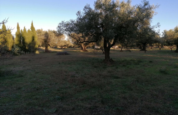 Venta - Fincas y solares - Godall - 3