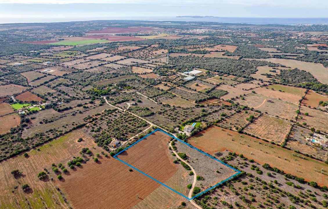 For Sale - Fincas y solares - Ses Salines - poligono 6 parcelo 527