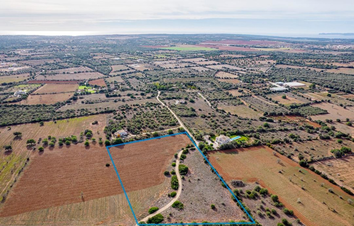 For Sale - Fincas y solares - Ses Salines - poligono 6 parcelo 527