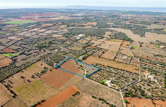 For Sale - Fincas y solares - Ses Salines - poligono 6 parcelo 527