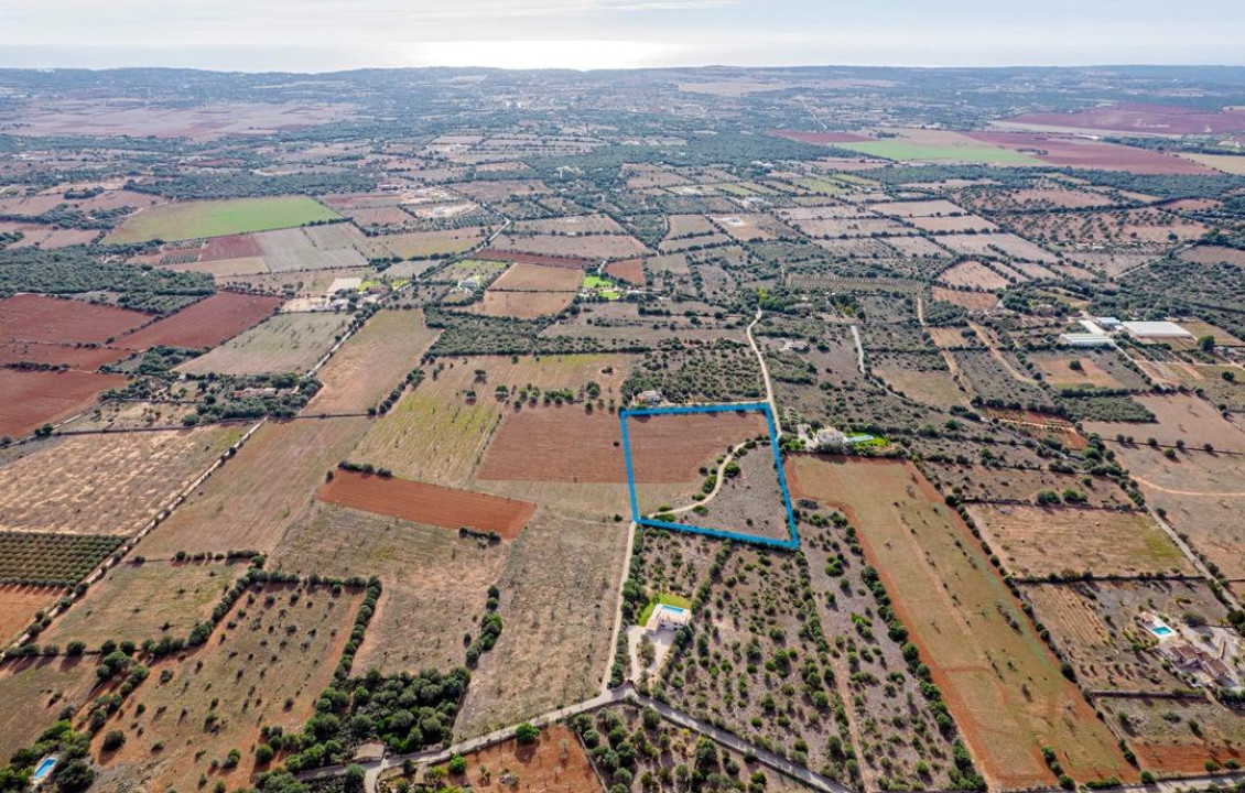 For Sale - Fincas y solares - Ses Salines - poligono 6 parcelo 527