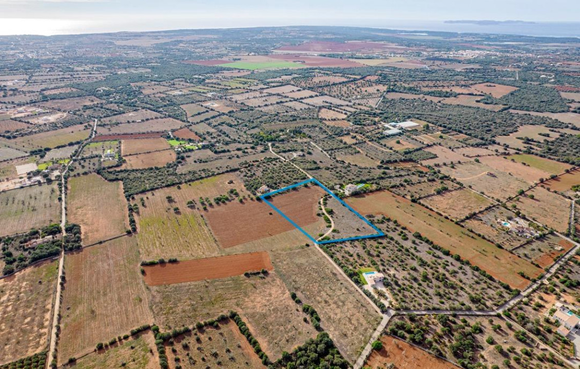 For Sale - Fincas y solares - Ses Salines - poligono 6 parcelo 527