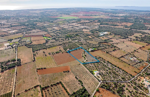 For Sale - Fincas y solares - Ses Salines - poligono 6 parcelo 527