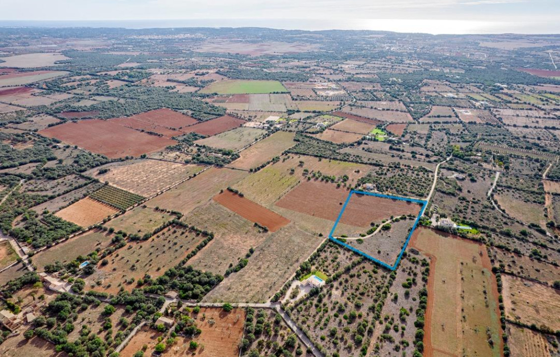 For Sale - Fincas y solares - Ses Salines - poligono 6 parcelo 527