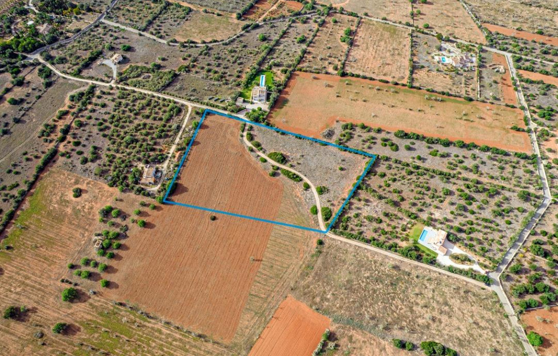 For Sale - Fincas y solares - Ses Salines - poligono 6 parcelo 527