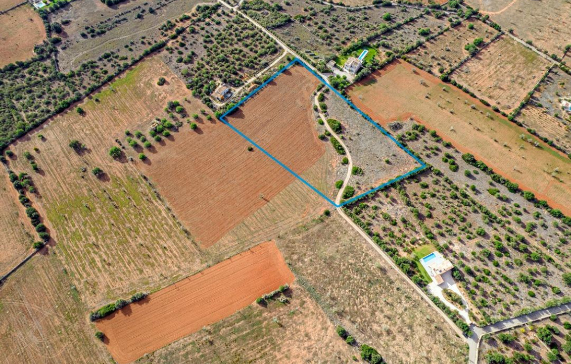 For Sale - Fincas y solares - Ses Salines - poligono 6 parcelo 527