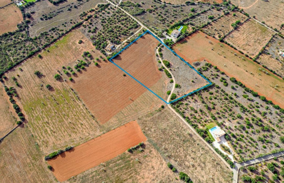 For Sale - Fincas y solares - Ses Salines - poligono 6 parcelo 527