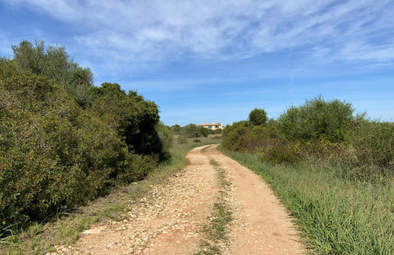 For Sale - Fincas y solares - Ses Salines - poligono 6 parcelo 527