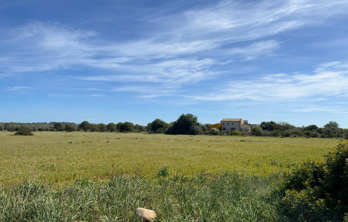 For Sale - Fincas y solares - Ses Salines - poligono 6 parcelo 527