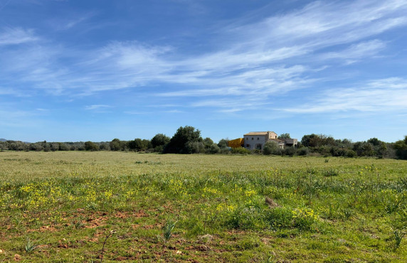 For Sale - Fincas y solares - Ses Salines - poligono 6 parcelo 527