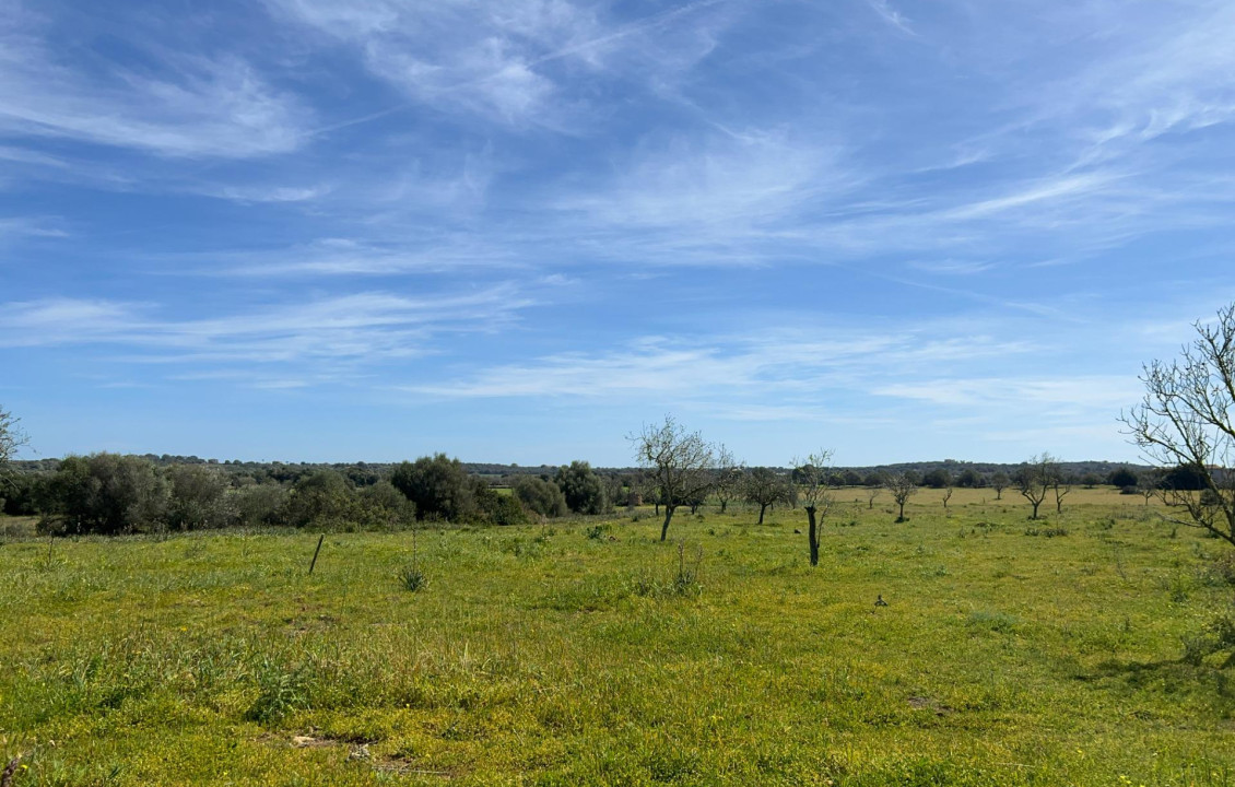 For Sale - Fincas y solares - Ses Salines - poligono 6 parcelo 527