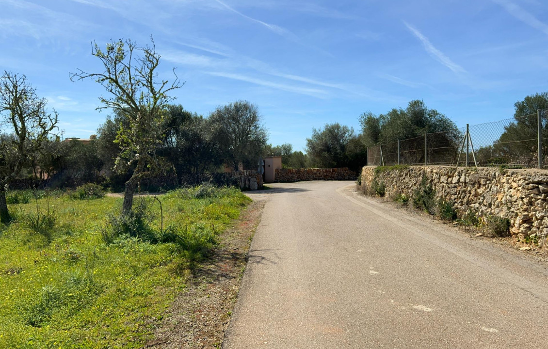 For Sale - Fincas y solares - Ses Salines - poligono 6 parcelo 527