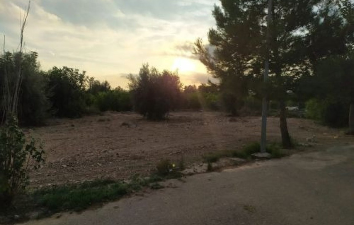 For Sale - Fincas y solares - Murcia - Sectores Zep