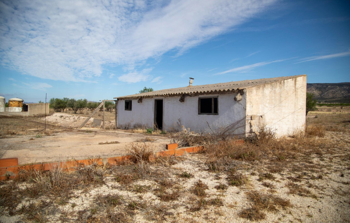 For Sale - Casas o chalets - Jumilla - TORRE DEL RICO