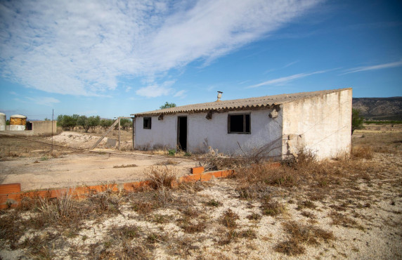 Venta - Casas o chalets - Jumilla - TORRE DEL RICO