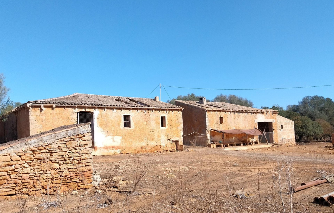 For Sale - Fincas y solares - Santa Margalida - Polígono 11 Parcela 59 001800100ED19F SON MARI. S