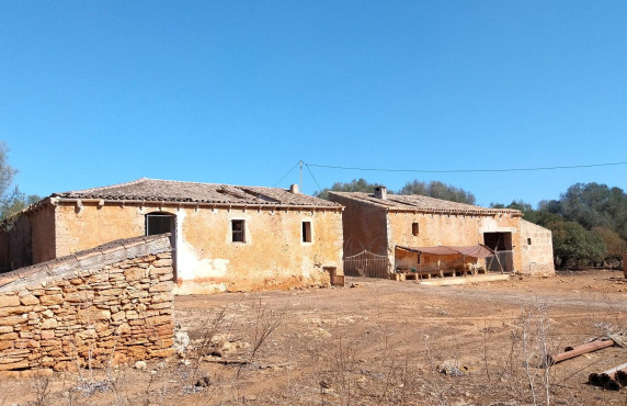 For Sale - Fincas y solares - Santa Margalida - Polígono 11 Parcela 59 001800100ED19F SON MARI. S