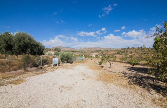 Venta - Casas o chalets - La Romana - BOQUERA