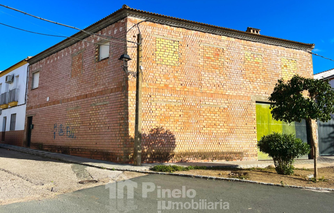 Venta - Casas o chalets - Castilblanco de los Arroyos - PALMA