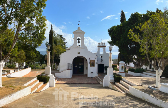 For Sale - Fincas y solares - Castilblanco de los Arroyos - ANTONIO MACHADO