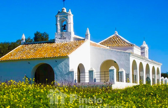 For Sale - Fincas y solares - Castilblanco de los Arroyos - ANTONIO MACHADO