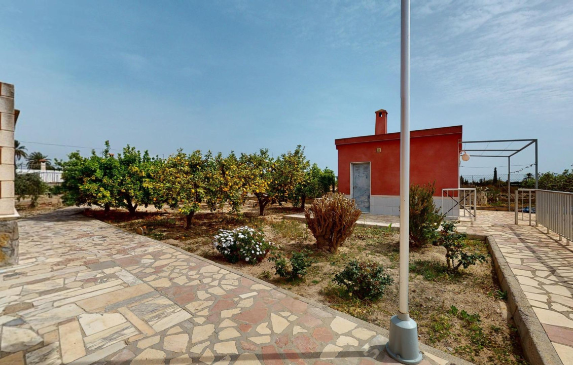 Venta - Casas o chalets - Elche - LLANO SAN JOSE