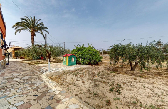 Venta - Casas o chalets - Elche - LLANO SAN JOSE