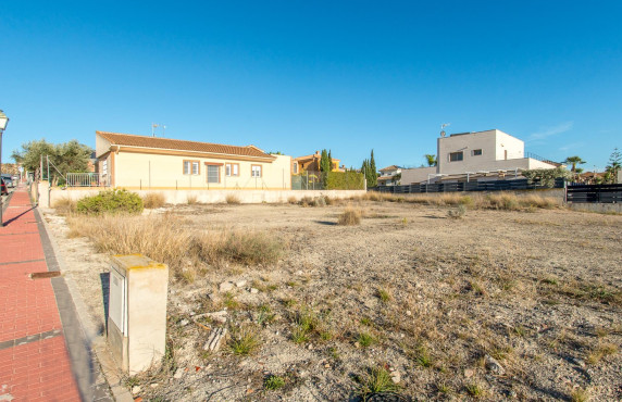 For Sale - Fincas y solares - Molina de Segura - SIERRA GRAZALEMA (ALCAYN)