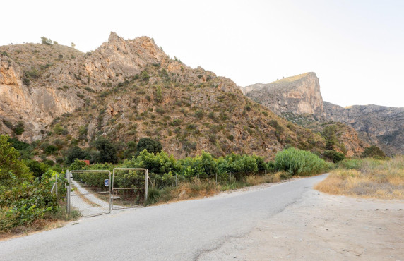 Venta - Fincas y solares - Vélez de Benaudalla