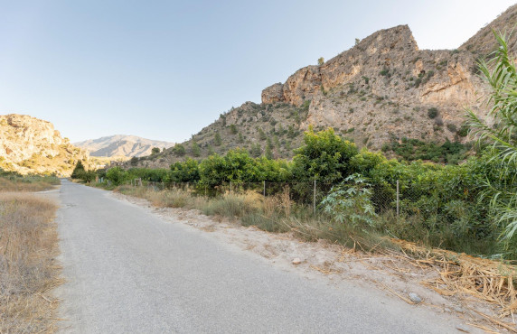 Venta - Fincas y solares - Vélez de Benaudalla