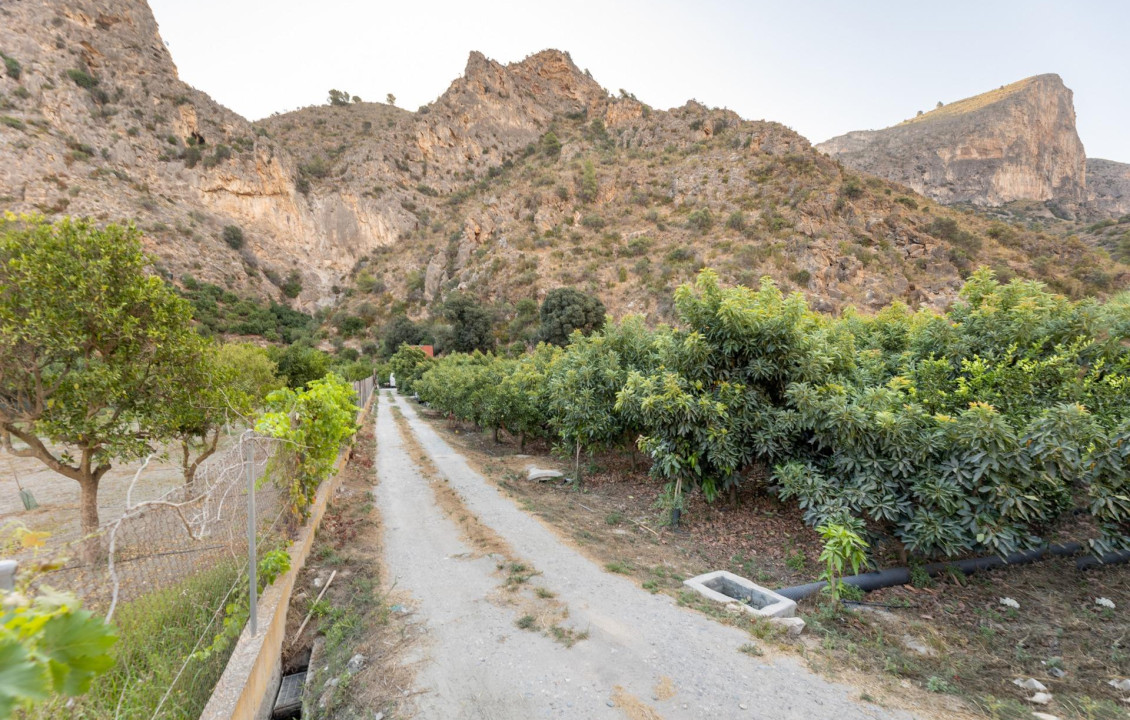 Venta - Fincas y solares - Vélez de Benaudalla