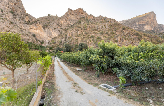 Venta - Fincas y solares - Vélez de Benaudalla