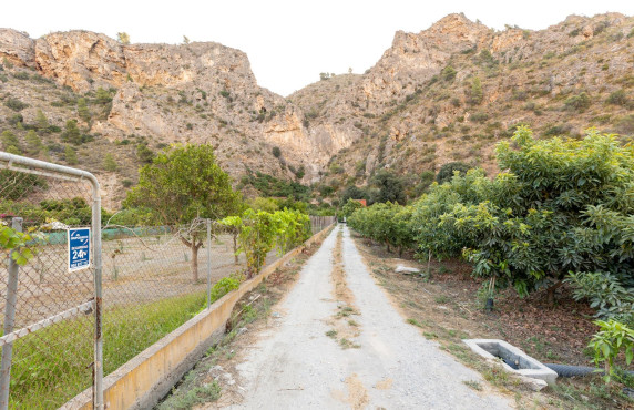 Venta - Fincas y solares - Vélez de Benaudalla