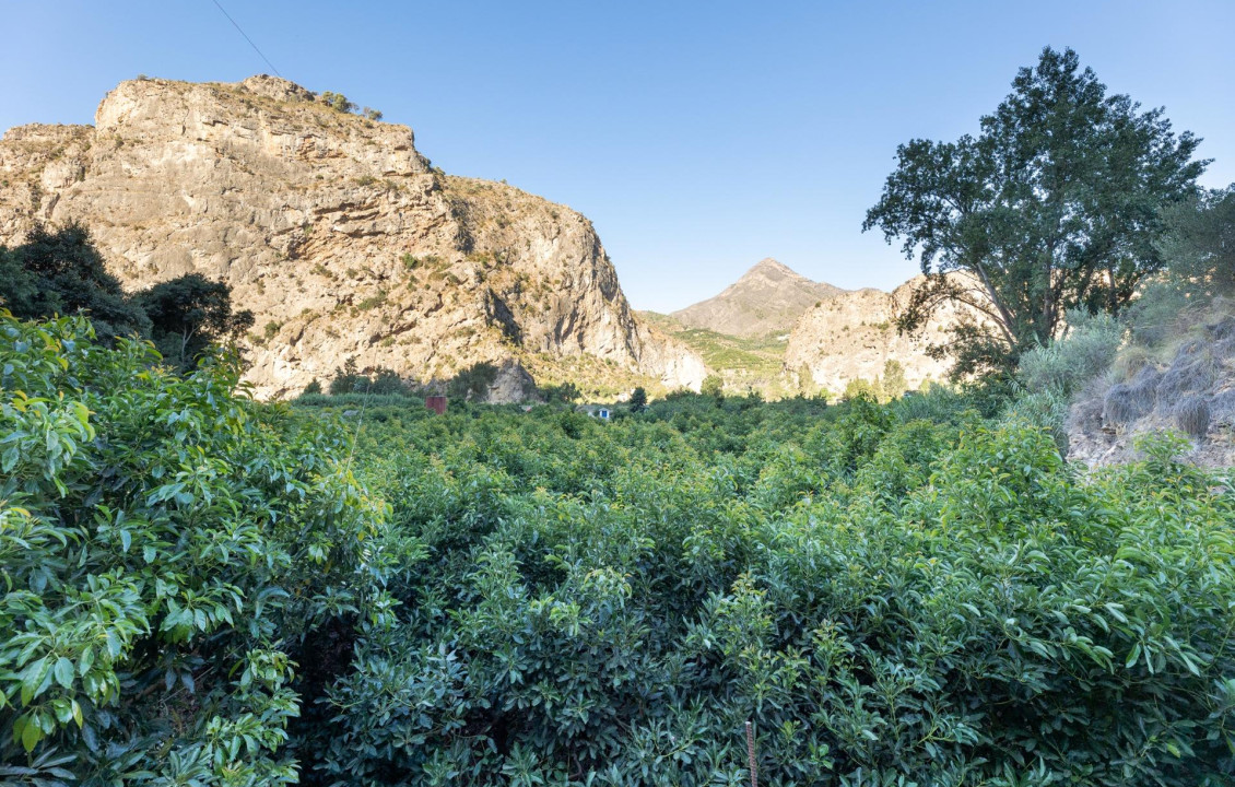 Venta - Fincas y solares - Vélez de Benaudalla