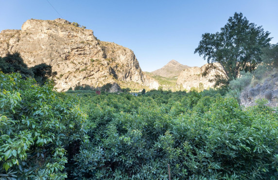 Venta - Fincas y solares - Vélez de Benaudalla