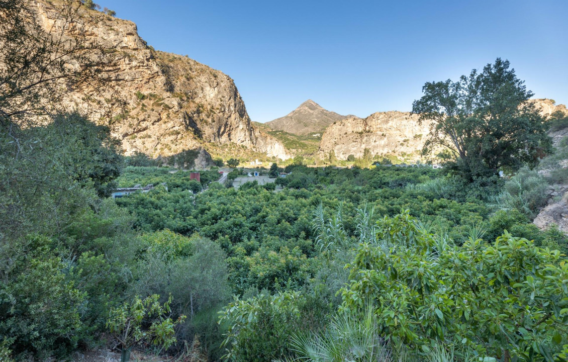 Venta - Fincas y solares - Vélez de Benaudalla