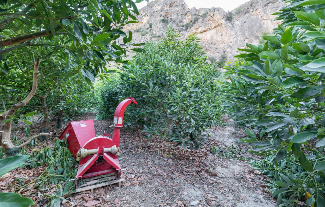 Venta - Fincas y solares - Vélez de Benaudalla