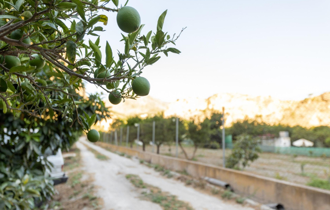 Venta - Fincas y solares - Vélez de Benaudalla