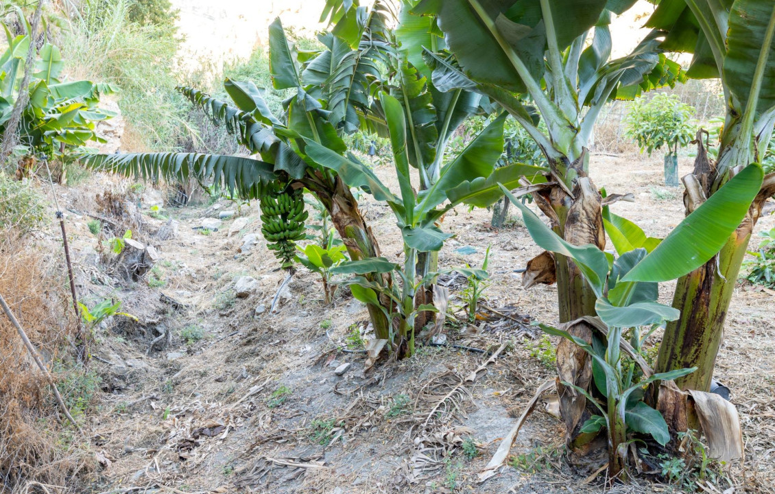 Venta - Fincas y solares - Vélez de Benaudalla