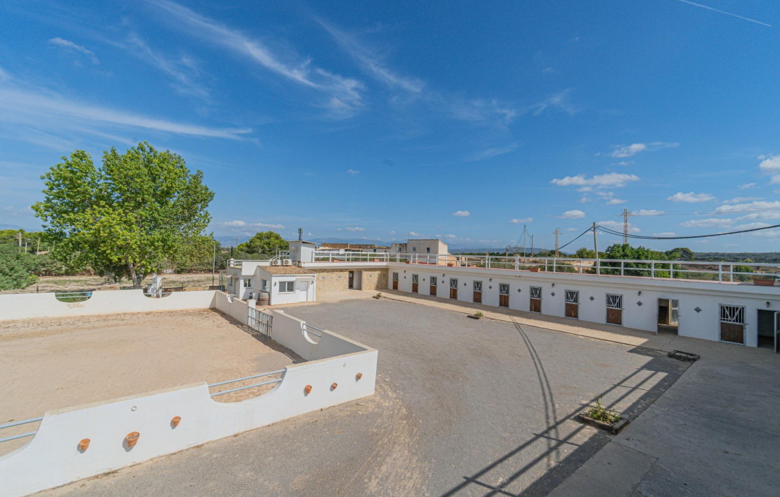 For Sale - Fincas y solares - Palma de Mallorca - de Palmer