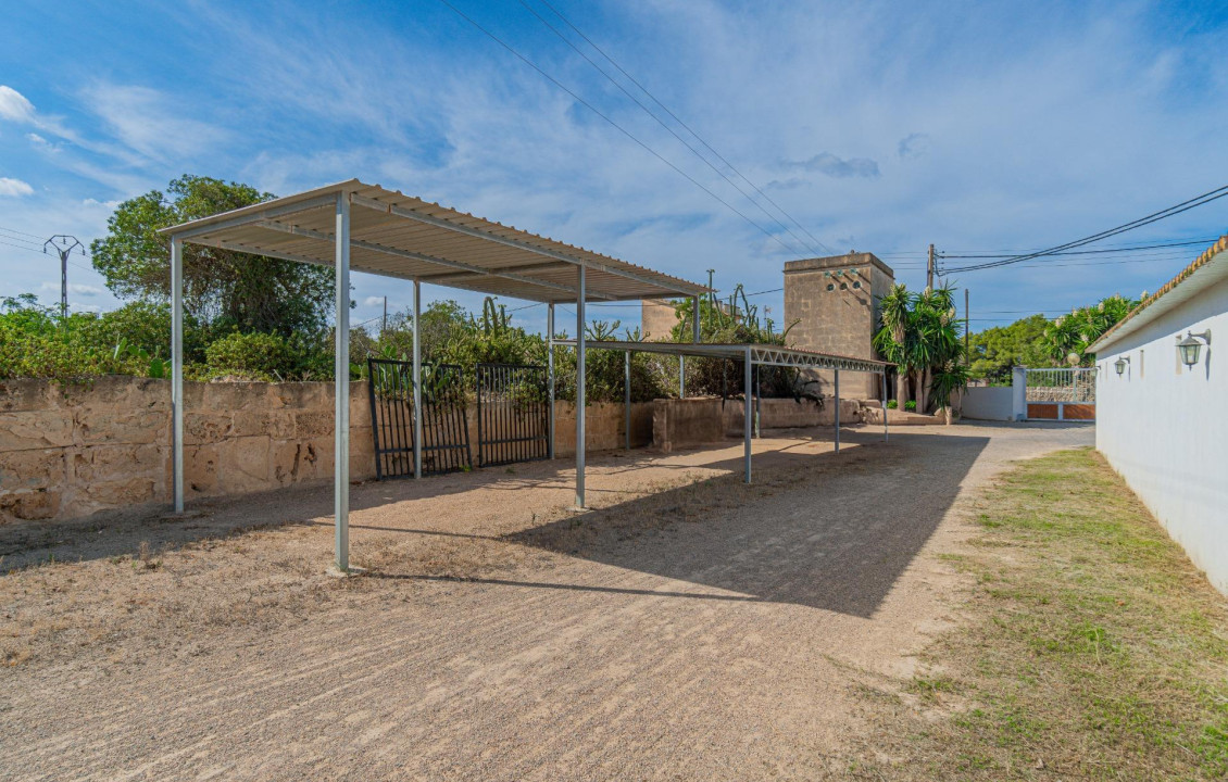 Venta - Fincas y solares - Palma de Mallorca - de Palmer