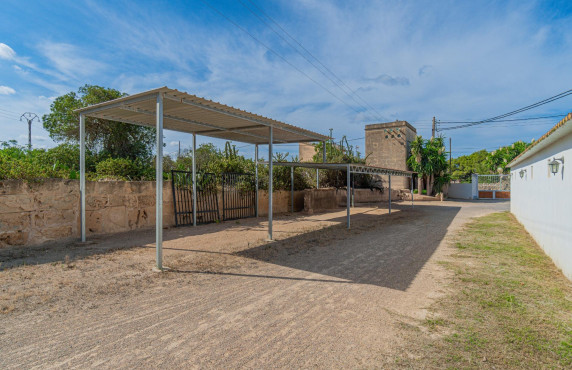 Venta - Fincas y solares - Palma de Mallorca - de Palmer