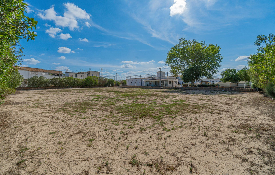 Venta - Fincas y solares - Palma de Mallorca - de Palmer