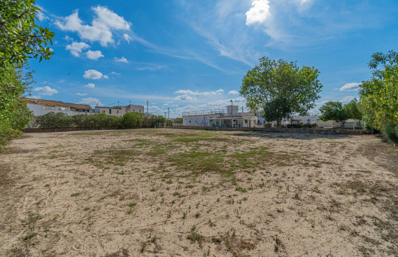 Venta - Fincas y solares - Palma de Mallorca - de Palmer