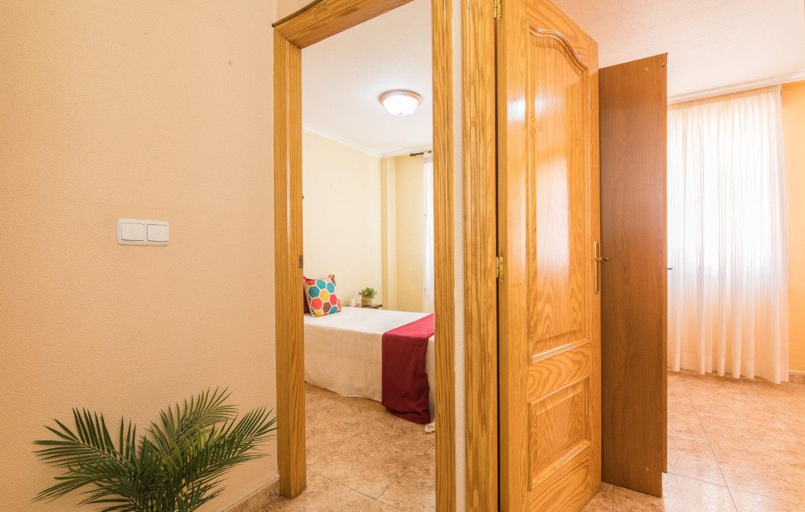 Venta - Casas o chalets - Elche - ALFAFARA