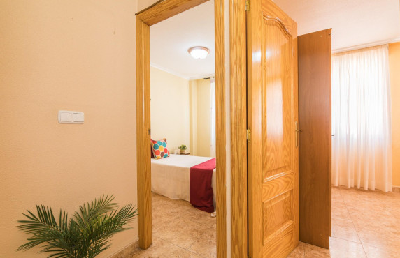 Venta - Casas o chalets - Elche - ALFAFARA