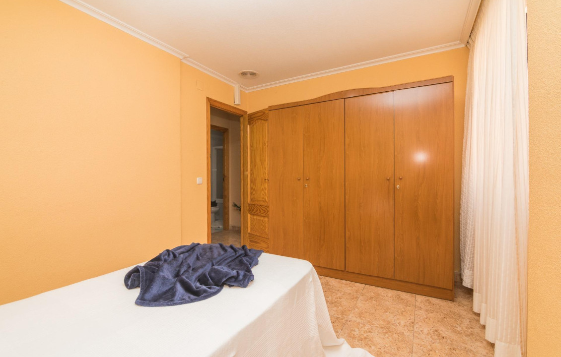 Venta - Casas o chalets - Elche - ALFAFARA