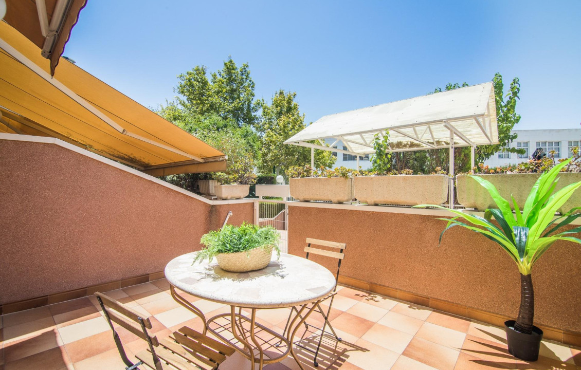 Venta - Casas o chalets - Elche - ALFAFARA