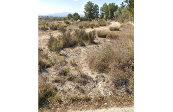 Venta - Fincas y solares - Molina de Segura - UNR CASA DEL CURA